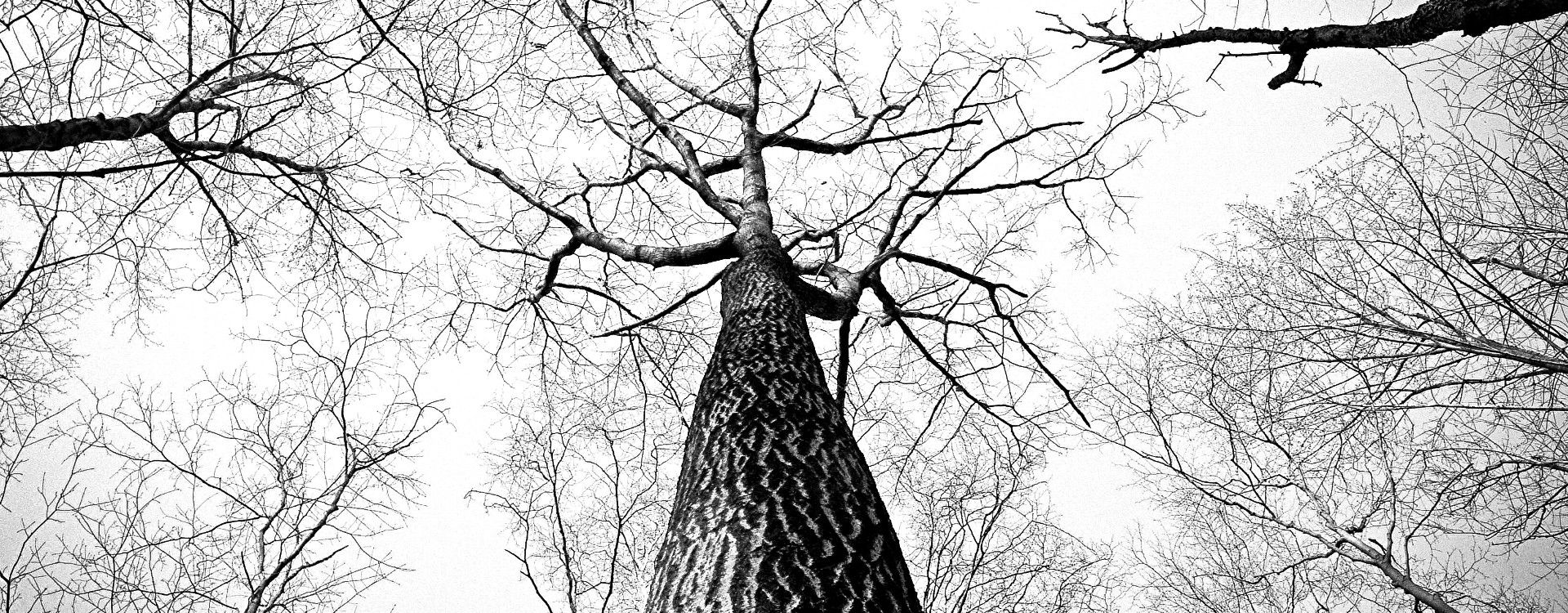 Courage - Noble Wealth Management