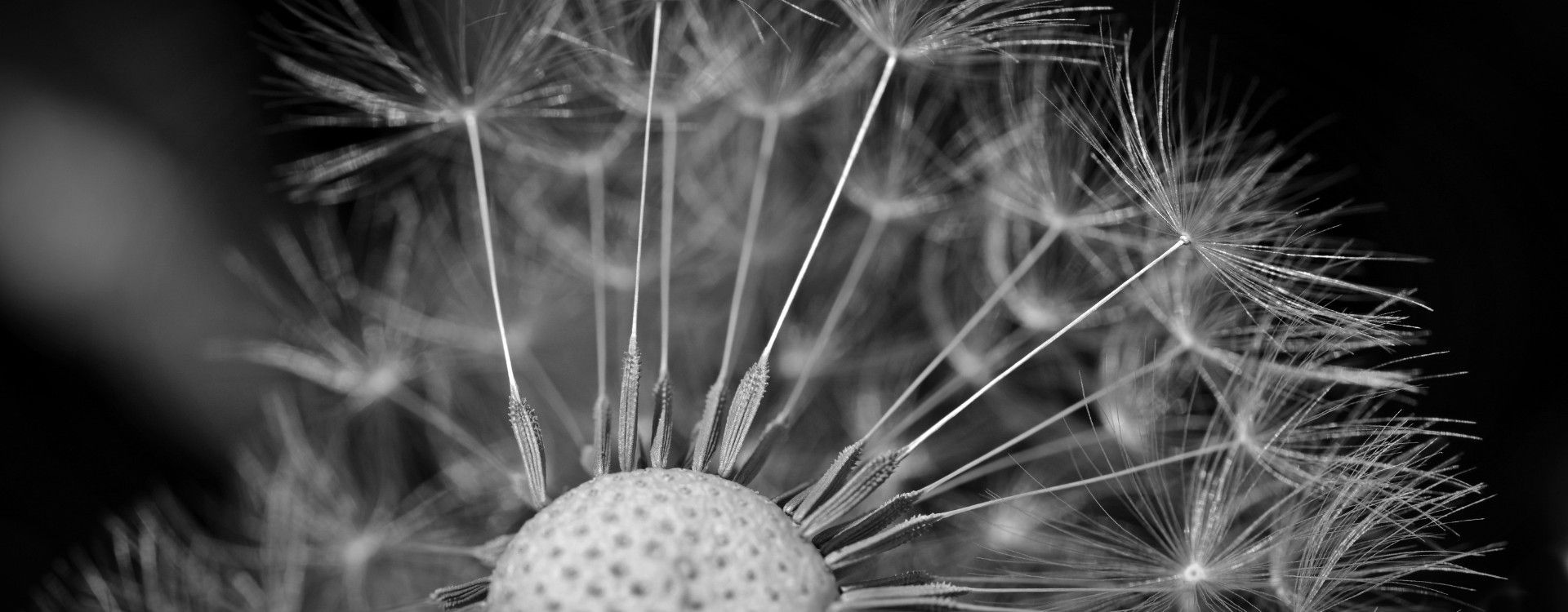 Compassion - Noble Wealth Management